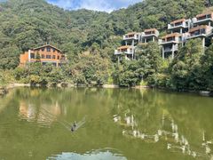 -宁海安岚·南溪阁全日餐厅