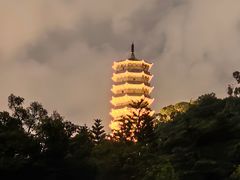 -深圳国际园林花卉博览园