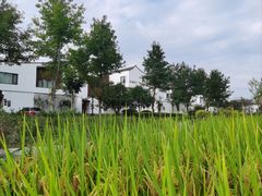 -东梓关景区村庄