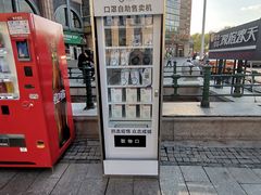 -人民防洪胜利纪念塔