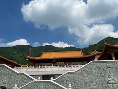 -深圳仙湖植物园