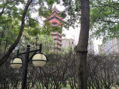 -塔子山公园