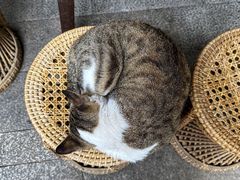 -悟饮门市景店