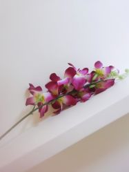 -紫洁俪方（北京）医疗美容