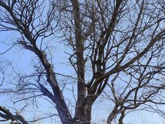 -苏州文庙(姑苏区)