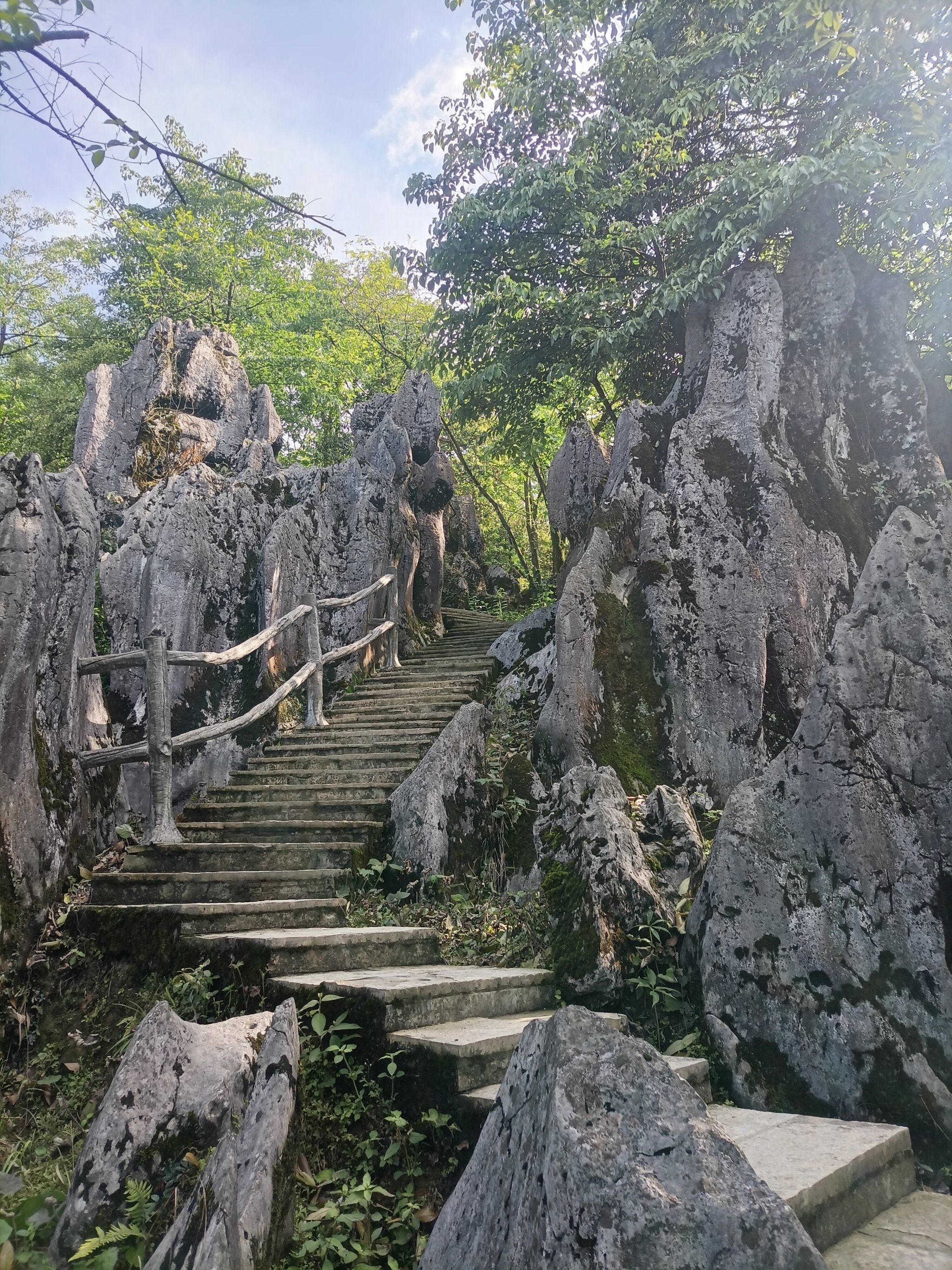 去这里探寻原始的石林地貌吧