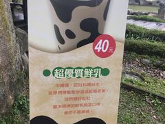 -瑞穗牧场