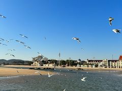 -老虎石海上公园