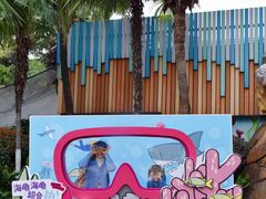 -海合安成都极地海洋公园