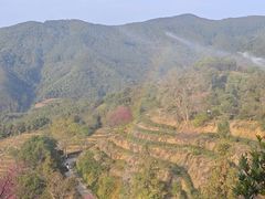 -象头山国家级自然保护区