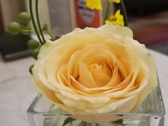 -国际饭店·原点咖啡吧ORIGIN CAFE&BAR