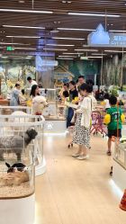 -小象动悟公园(龙湖亦庄天街店)