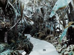 -国家植物园南园