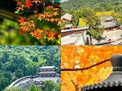 -颐和园