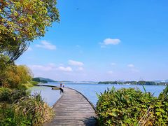 -长广溪湿地公园