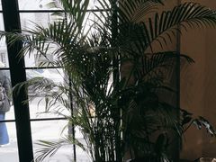 -Fridi Patisserie Cafe