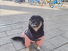 -南京中医药大学(仙林校区)