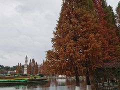 -云南民族村