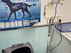 -达爱动物医院·犬猫分区·CT·复杂眼科(远洋山水分院)