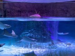 -沈阳海洋探索中心