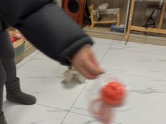 -嘉馨宠物医院·CT影像转诊·心脏科·犬猫全科诊疗中心(下沙大学城院区)