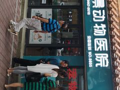 -瑞派动物医院·绝育·犬猫全科·预防医学(光景江南中店)