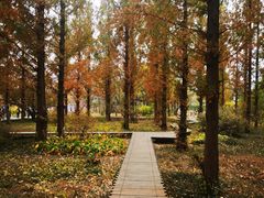 -国家植物园南园