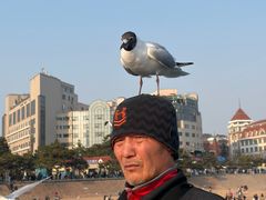 -青岛海滨风景区