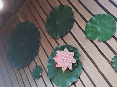 -顺德芦塘冬瓜盅·火锅烧烤(启东店)