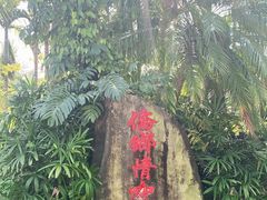 -兴隆隆苑咖啡庄园
