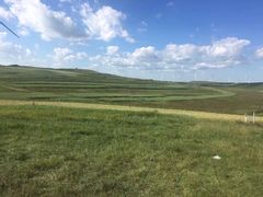 -张北坝上草原