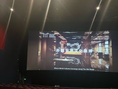 -保利国际影城(保利文化广场店)