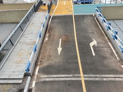 -大渡口区义渡公园