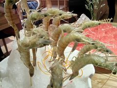 -尚海豆捞(乐虹坊店)