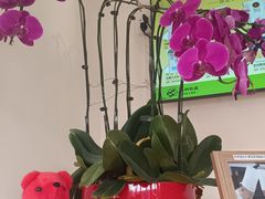 -春种秋藏手工烘焙(荣祥广场店)