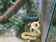 -上海大自然野生昆虫馆