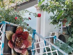 -荒度咖啡(北九水店)