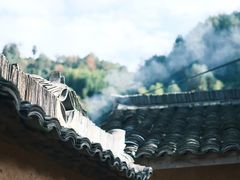 -杨家堂村
