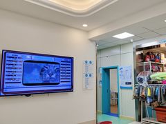 -北京观赏动物医院·24小时大型综合·猫专科·异宠专科