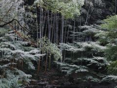 -杭州植物园
