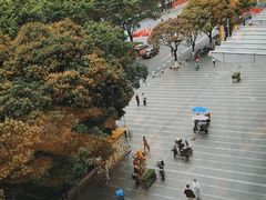 -点都德·毕德寮