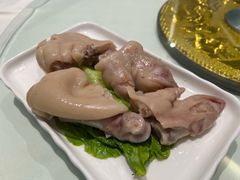 -丁老爷子苏香圆