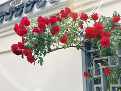 -木渎古镇