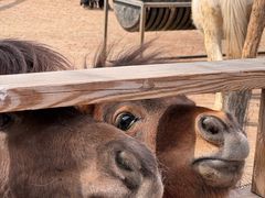 -水上乐园·欢乐世界