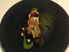 -态芮