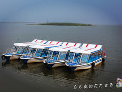 -呼兰河口湿地公园