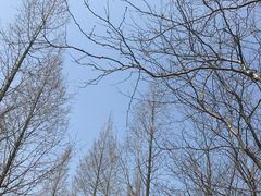 -白塘生态植物园