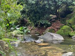 -广州市石门国家森林公园