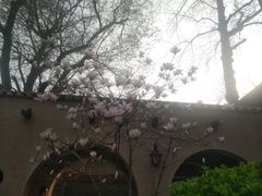 -静园(和平区)
