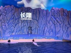 -珠海长隆海洋王国